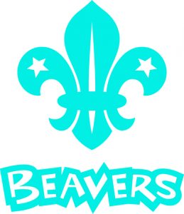 Stoneleigh Beavers Logo